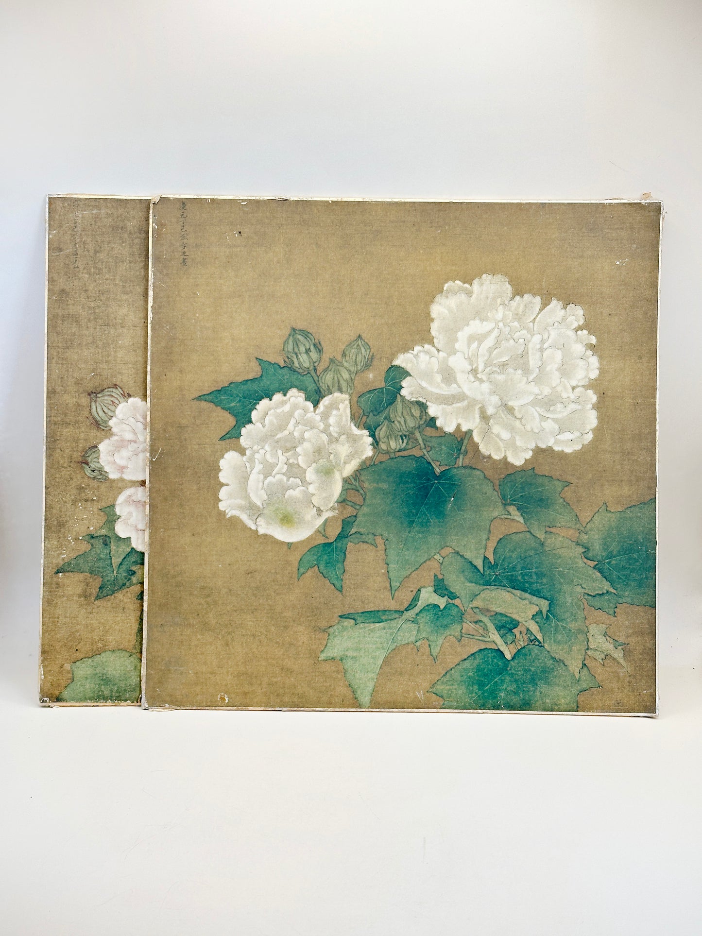 SHP210 - Vintage Shikishi Print — Red and White Cotton Roses by Li Di 李迪