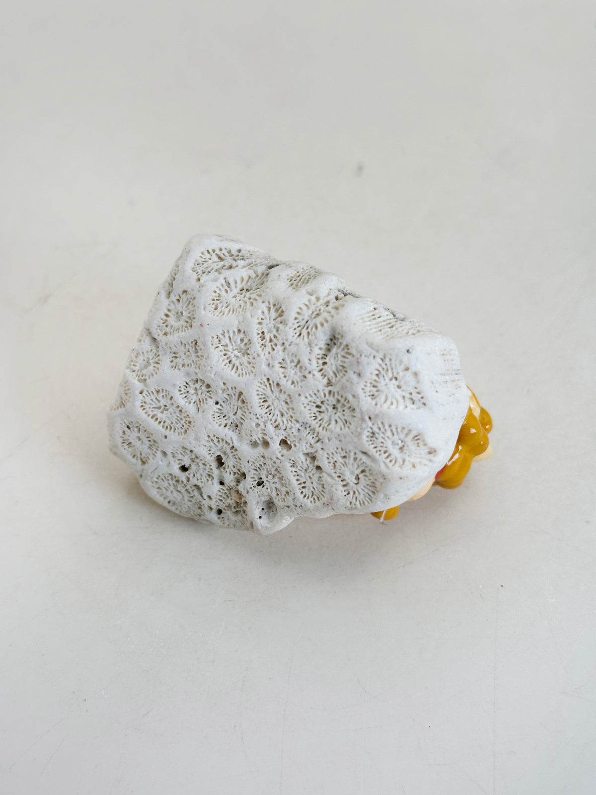 FT615 - Okinawan Goya Shisa Figurine シーサー