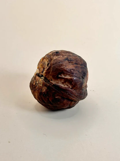 FT160 - Carved Walnut shape Netsuke Daruma
