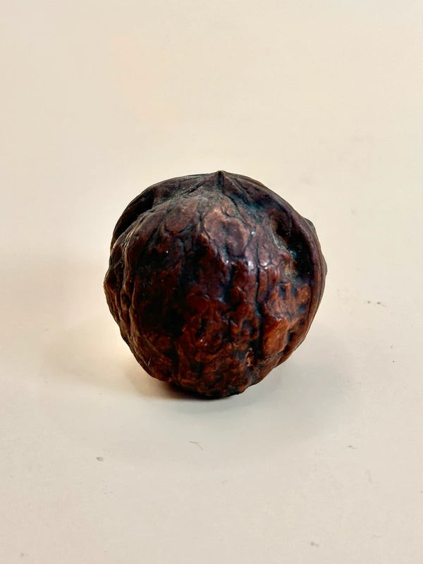 FT160 - Carved Walnut shape Netsuke Daruma
