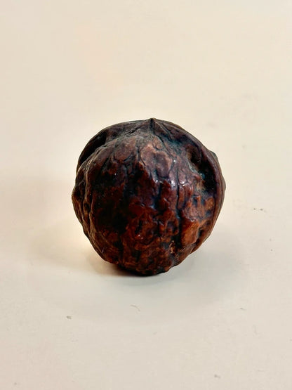 FT160 - Carved Walnut shape Netsuke Daruma