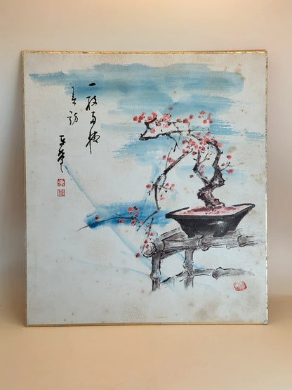 SHP138 - Original Shikishi artwork card  bonsai 梅盆栽