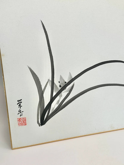 SHP70 - Carte originale Shikishi Japon