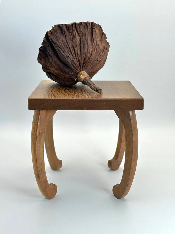 Mini présentoir de table vintage en bois