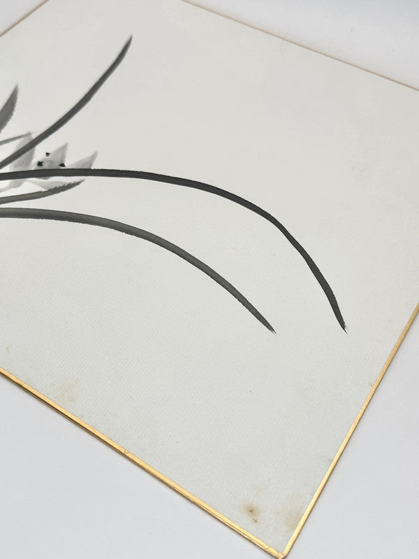 SHP70 - Carte originale Shikishi Japon