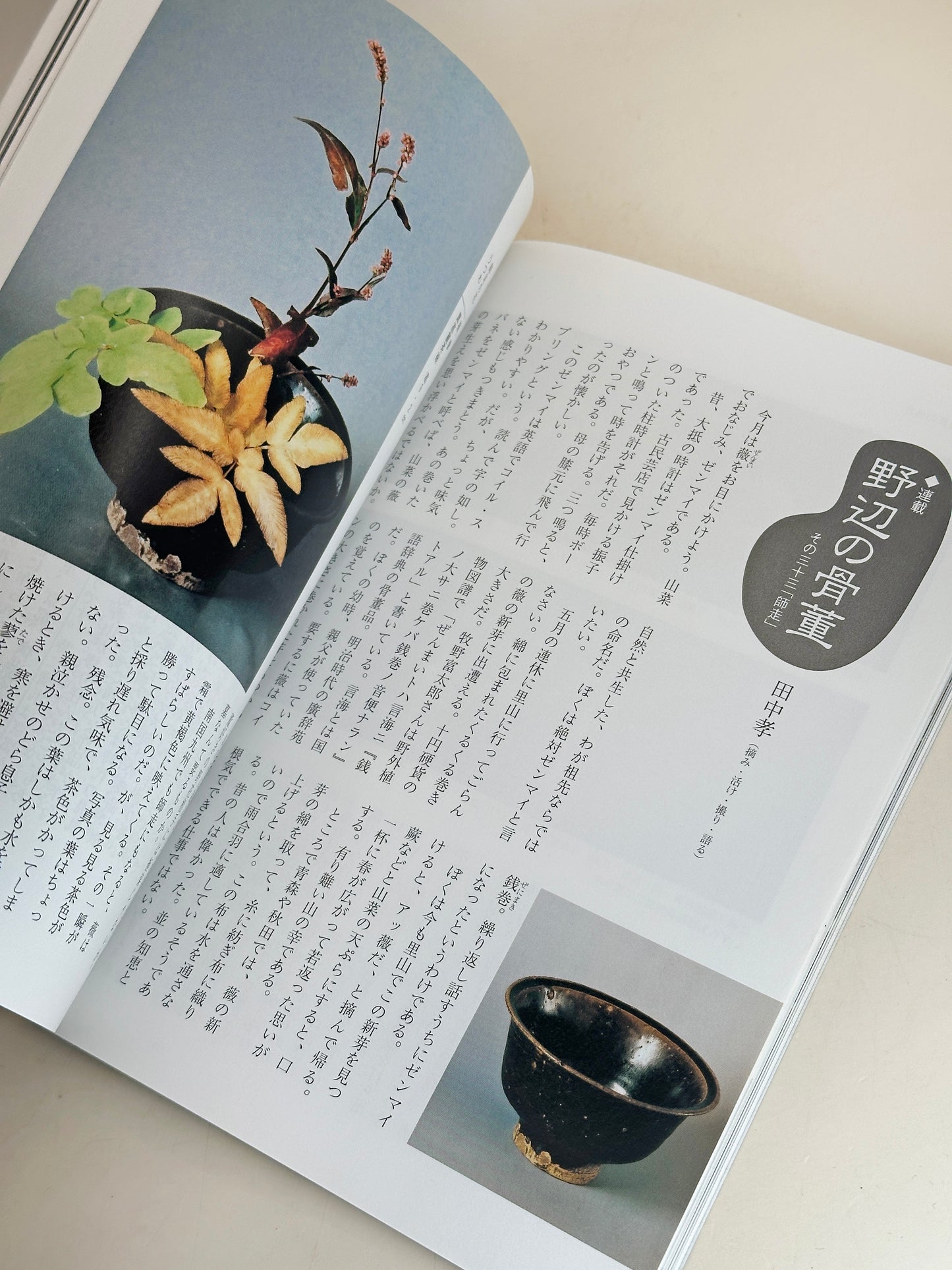 BK19 - Japan Vintage Book of antique instruments 古楽器