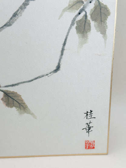 SHP389 - Shikishi artwork by Keika 桂華