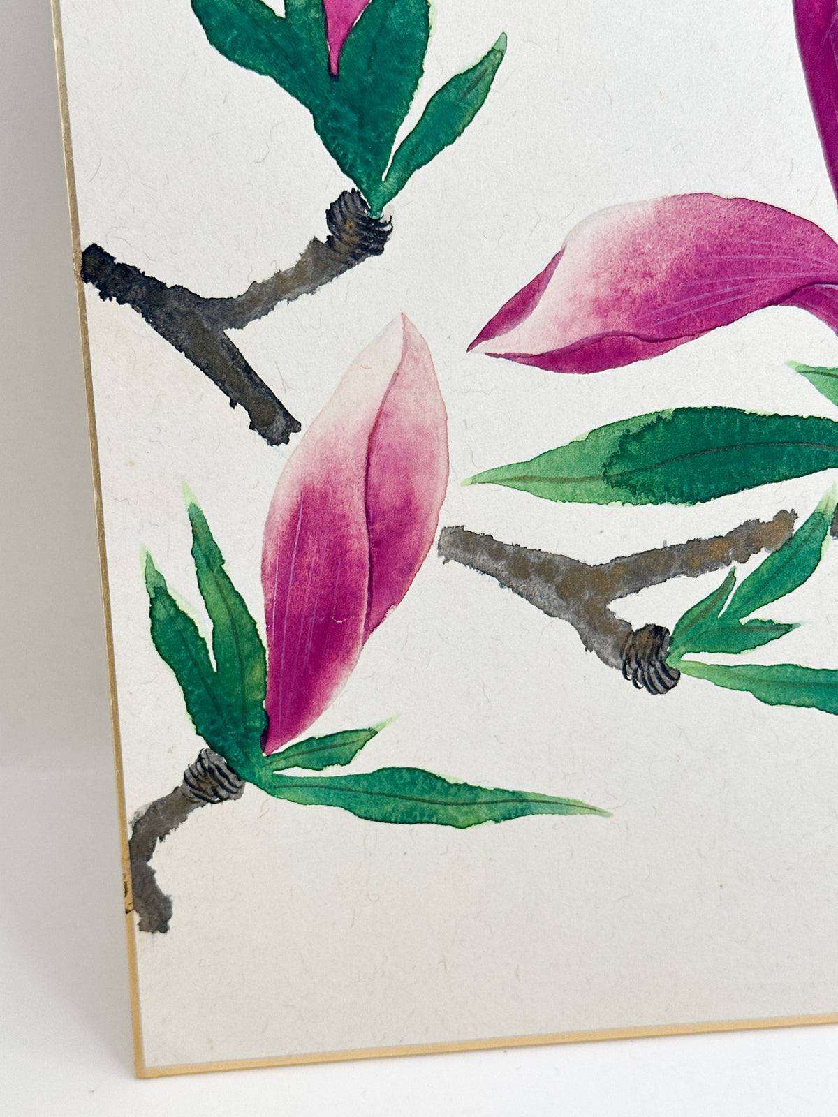 SHP402 - Shikishi Magnolia Blossoms by Ryōshō 蓼宵