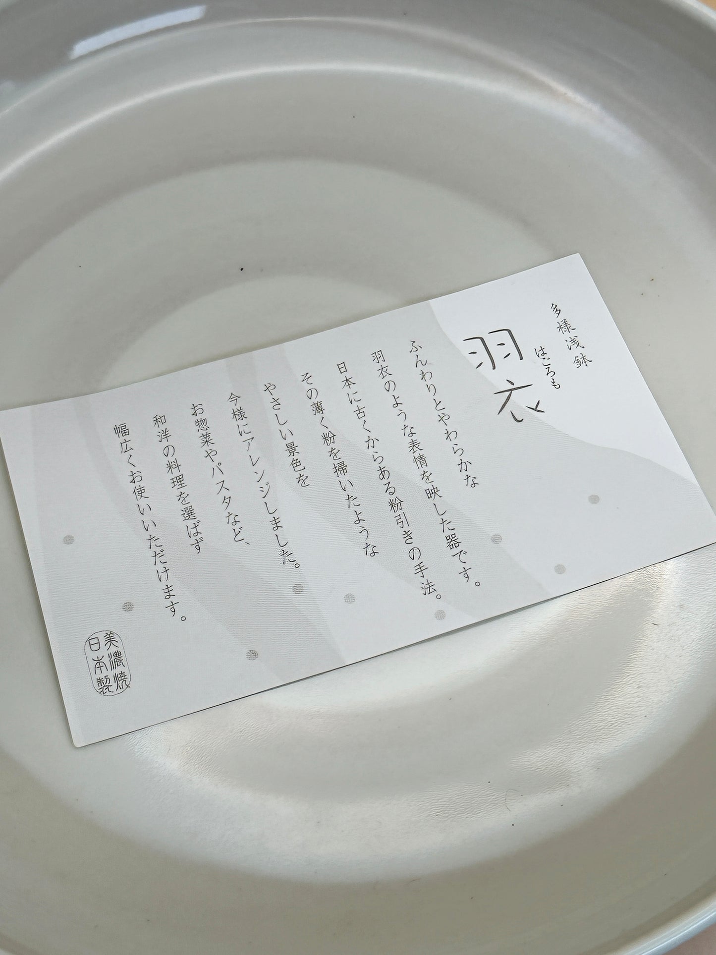 TB289 - Big Plate of Mino-yaki 美濃焼