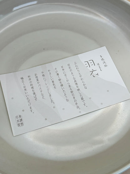 TB289 - Big Plate of Mino-yaki 美濃焼
