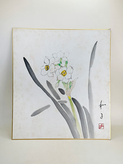 SHP239 - Shikishi Drawing of narcissus 水仙
