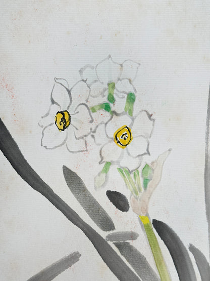 SHP239 - Shikishi Drawing of narcissus 水仙