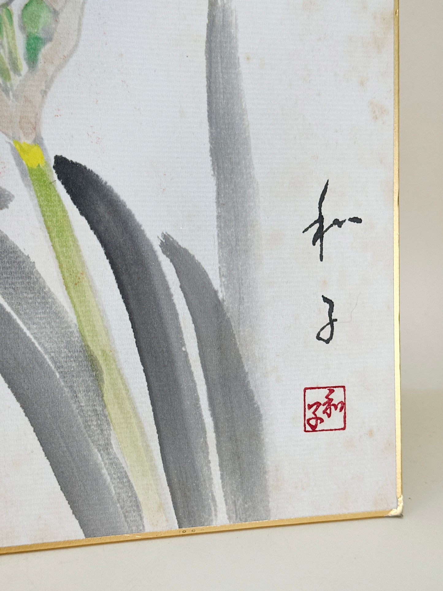 SHP239 - Shikishi Drawing of narcissus 水仙