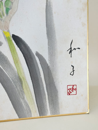 SHP239 - Shikishi Drawing of narcissus 水仙
