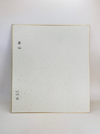 SHP239 - Shikishi Drawing of narcissus 水仙