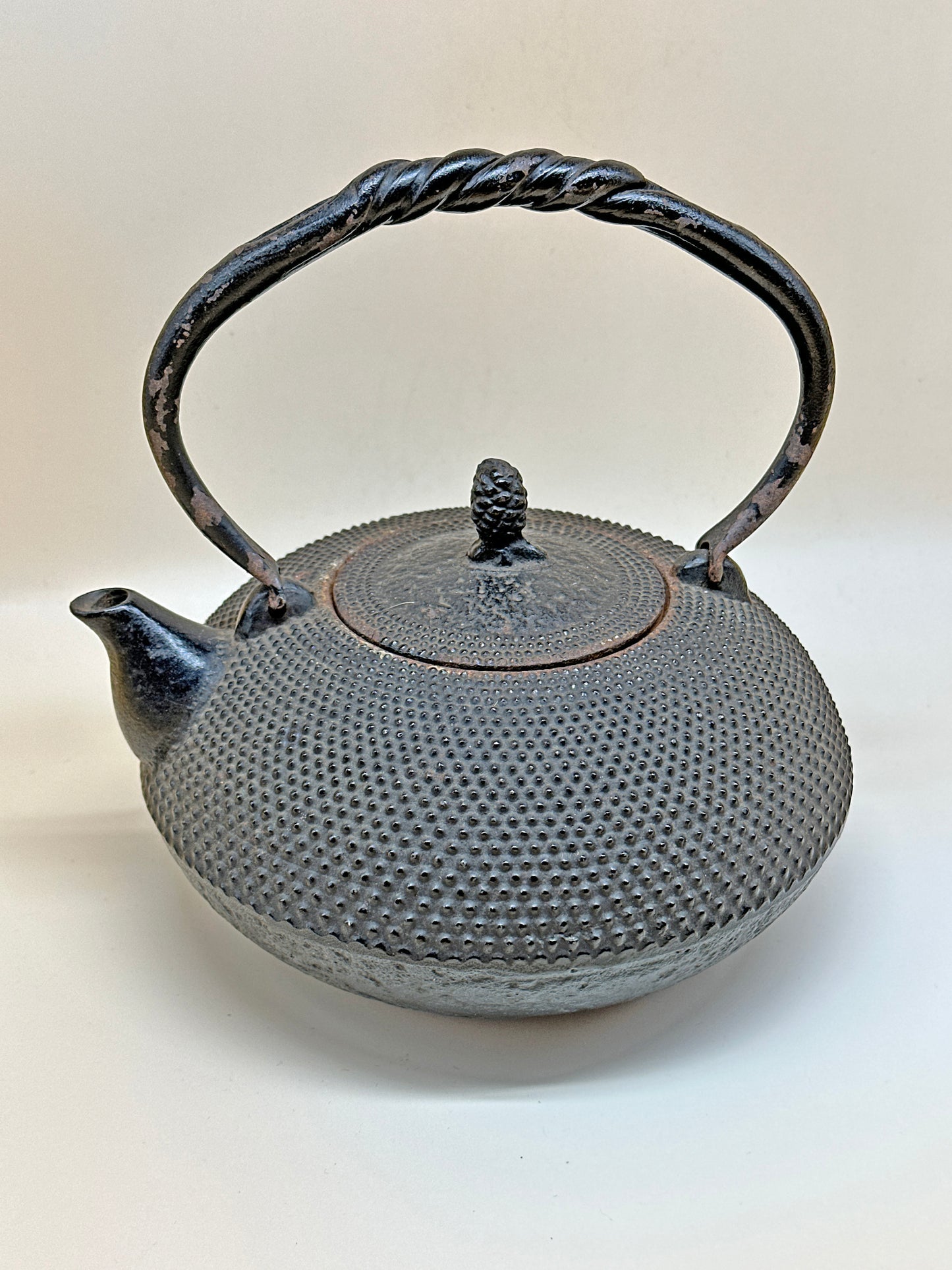TC05 - Nambu Tekki Tetsubin / Iron Kettle 南部 鉄器
