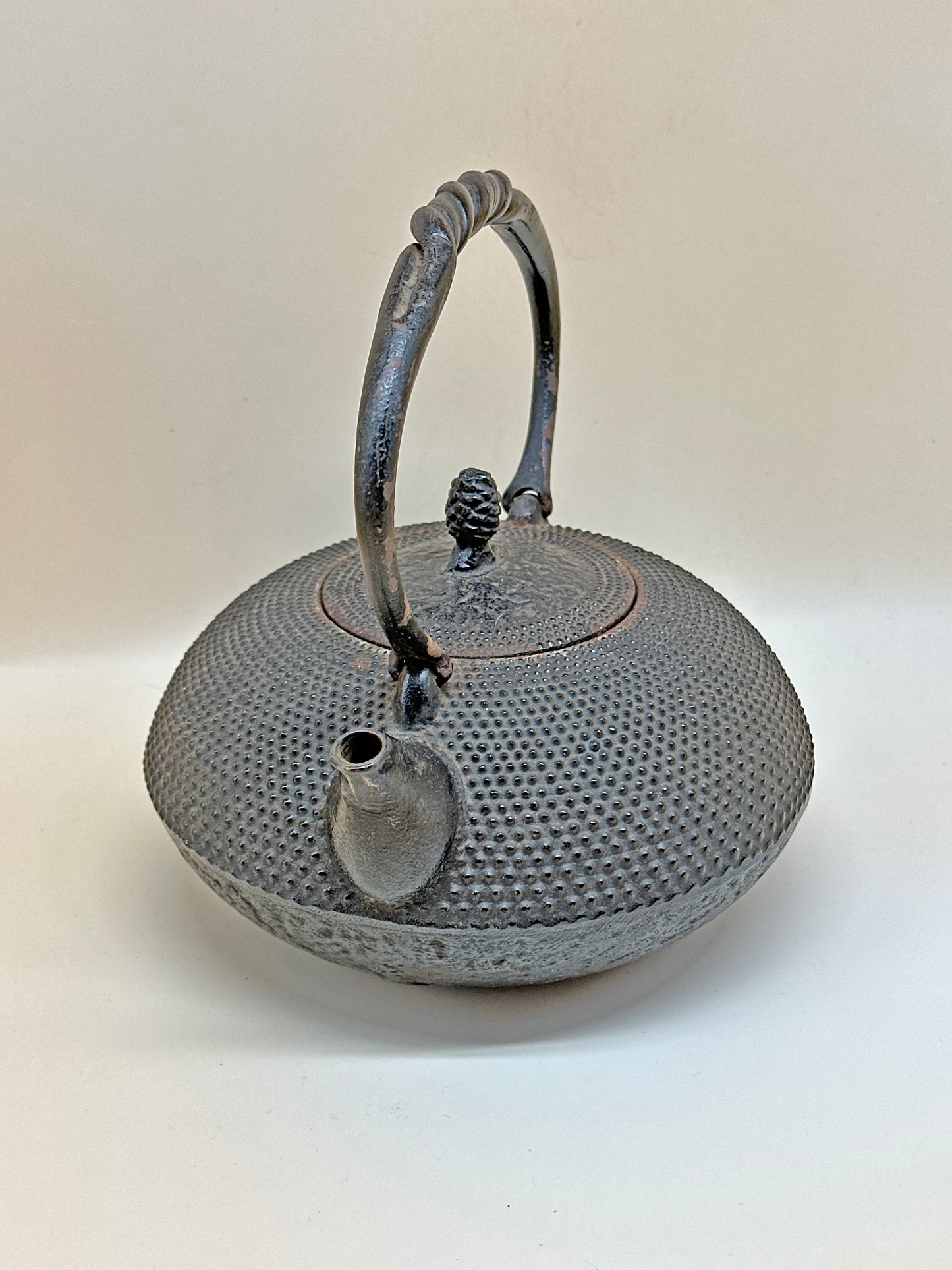 TC05 - Nambu Tekki Tetsubin / Iron Kettle 南部 鉄器