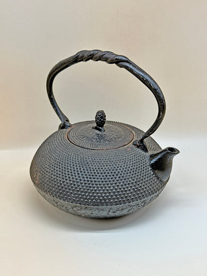 TC05 - Nambu Tekki Tetsubin / Iron Kettle 南部 鉄器