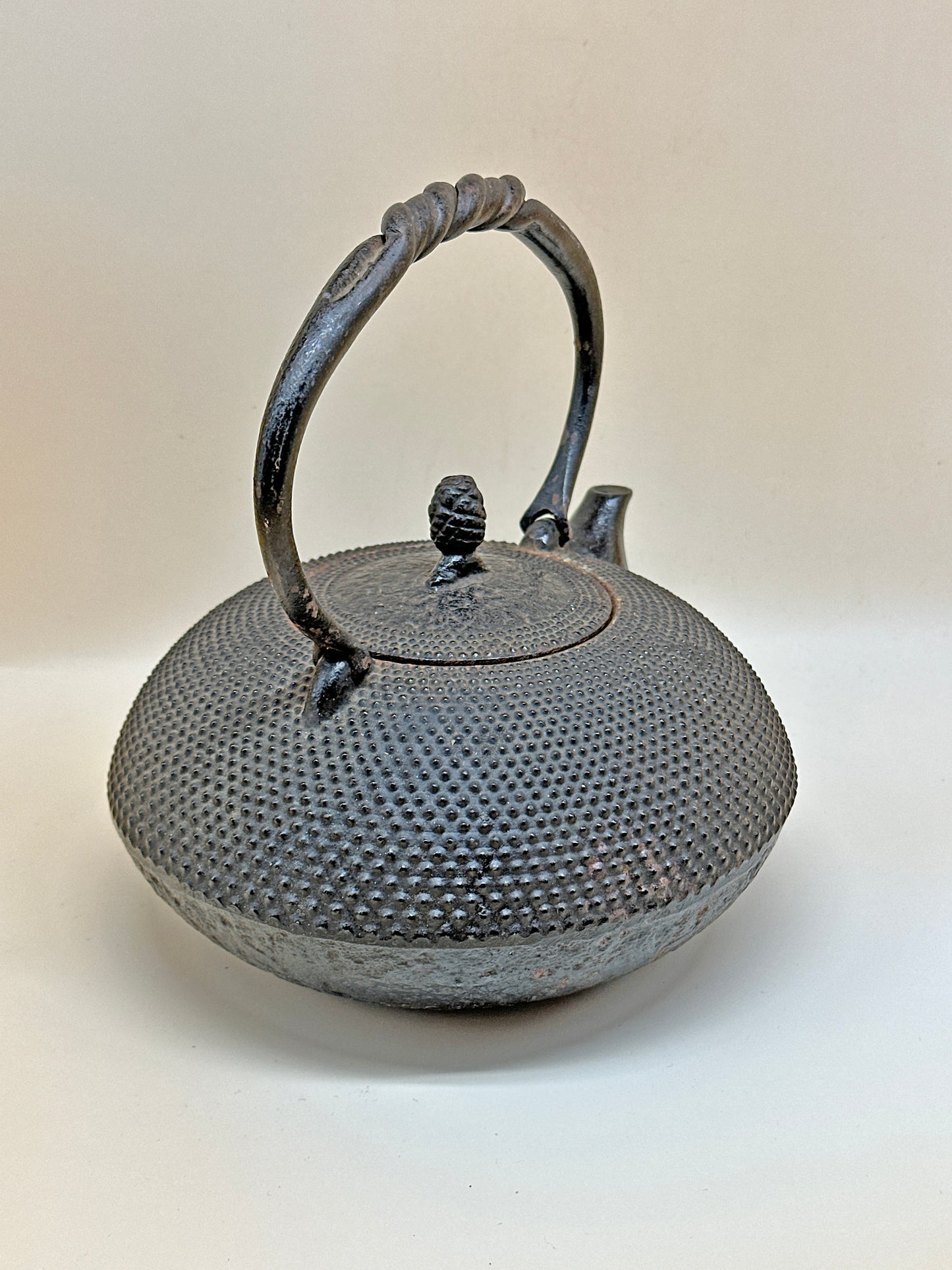 TC05 - Nambu Tekki Tetsubin / Iron Kettle 南部 鉄器