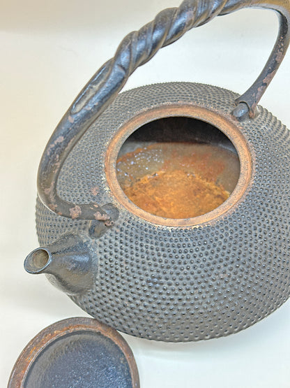 TC05 - Nambu Tekki Tetsubin / Iron Kettle 南部 鉄器