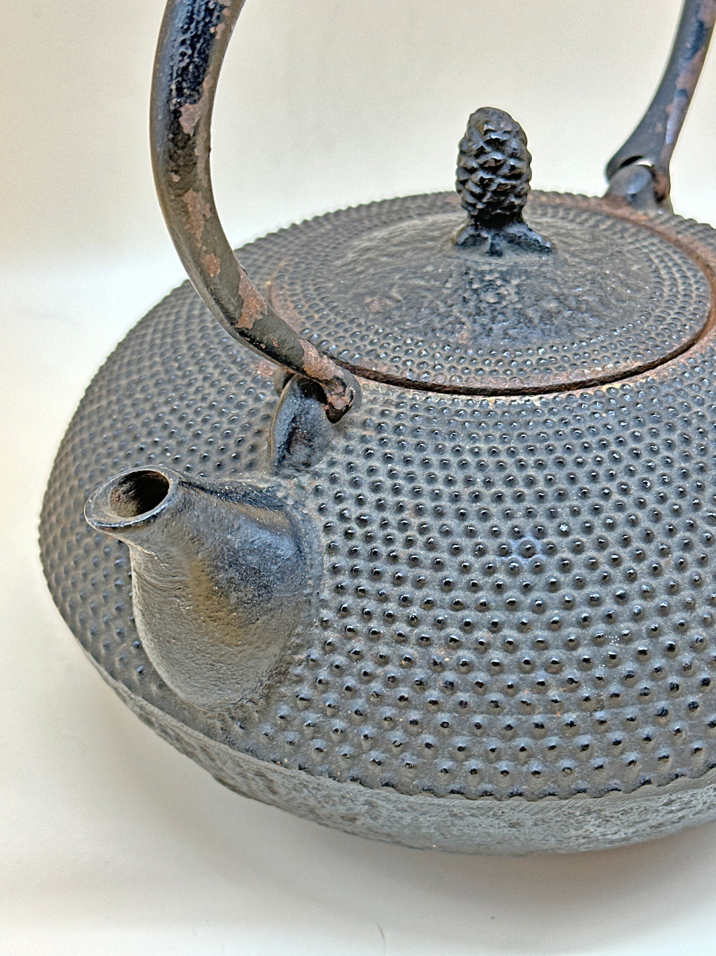 TC05 - Nambu Tekki Tetsubin / Iron Kettle 南部 鉄器