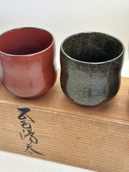 TB298 - Ensemble de tasses à thé yunomi Mino-yaki 美濃焼