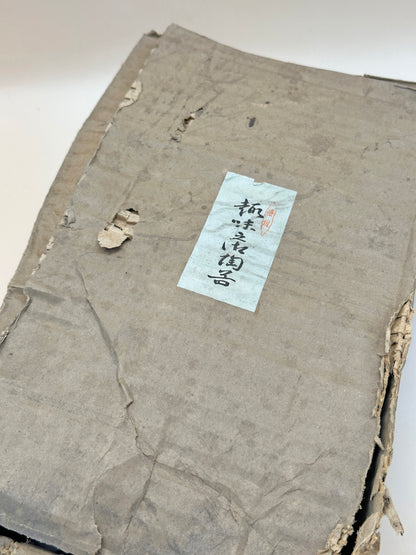 TB71 - Japanese Teapot Set Ichimon Tōen 一文陶苑