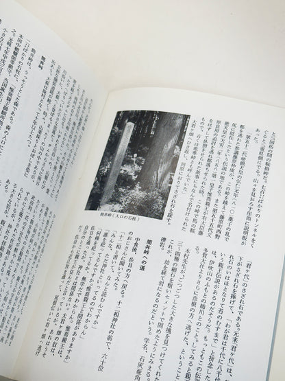 KT41 - Kokeshi Techō No. 293 — August 1985