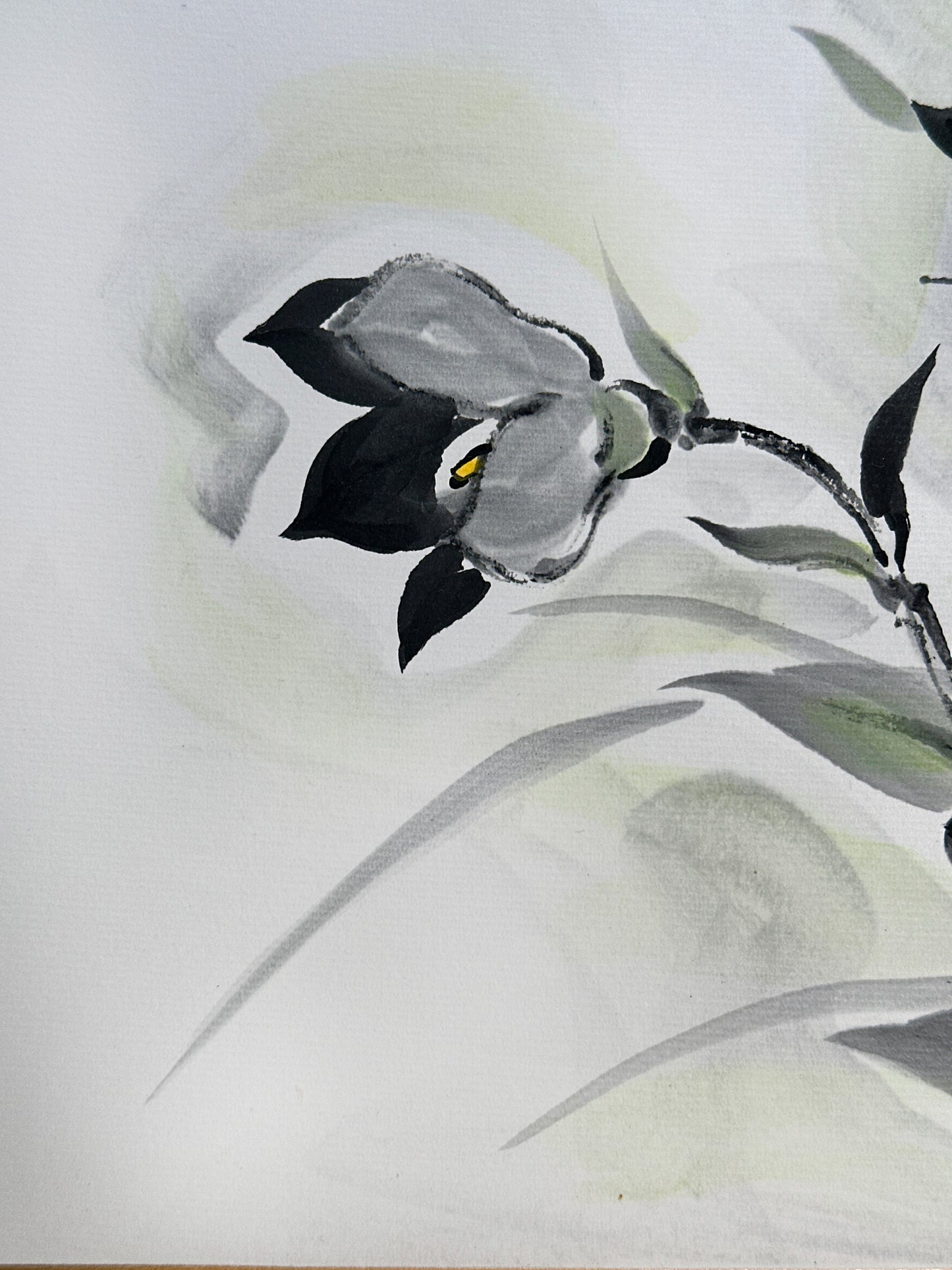 SHP256 - Obra de arte Shikishi de campanilla Kikyo 桔梗