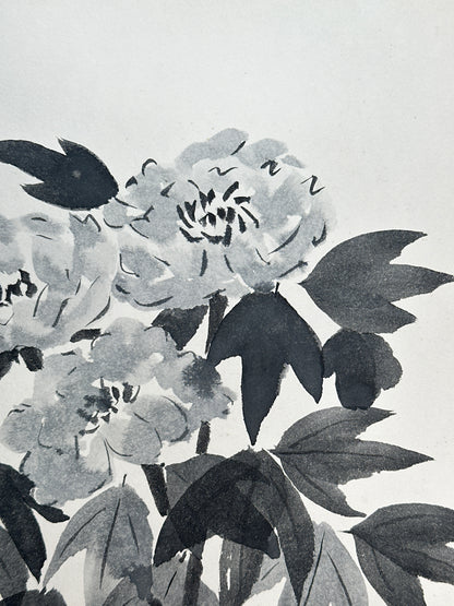 SHP255 - Shikishi Ink artwork of Peony 牡丹