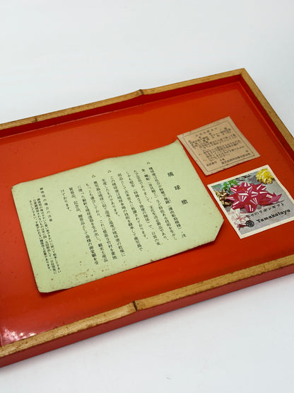 TB462 - Ryukyu Lacquerware Tray 琉球塗 お盆