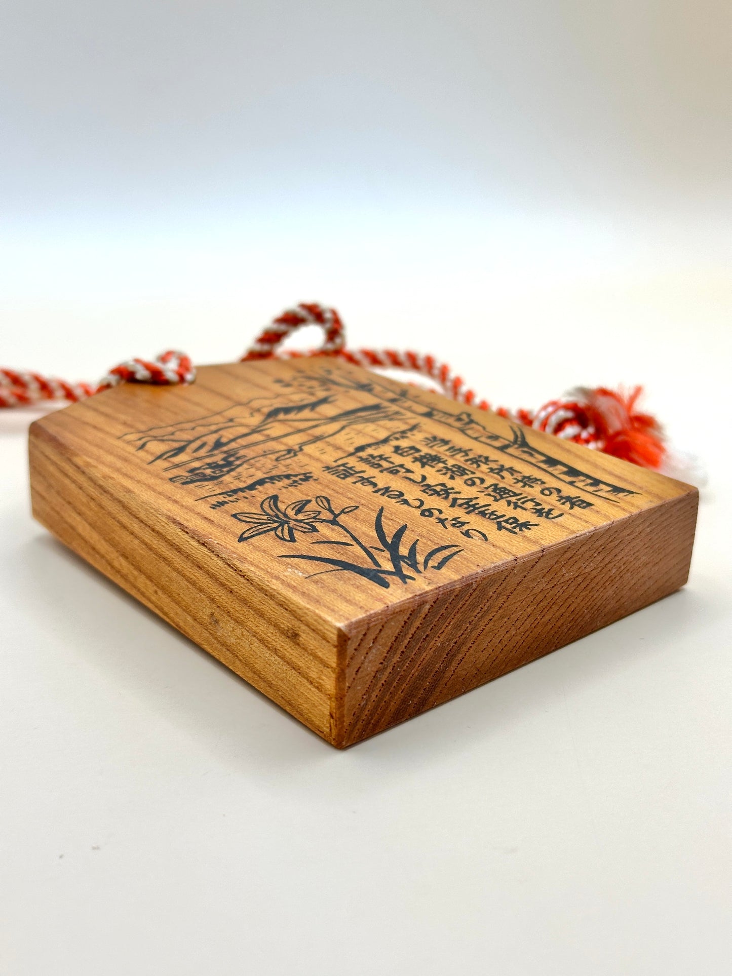 VTT117 - Tsuko-Tegata – Shirakabako 白樺湖