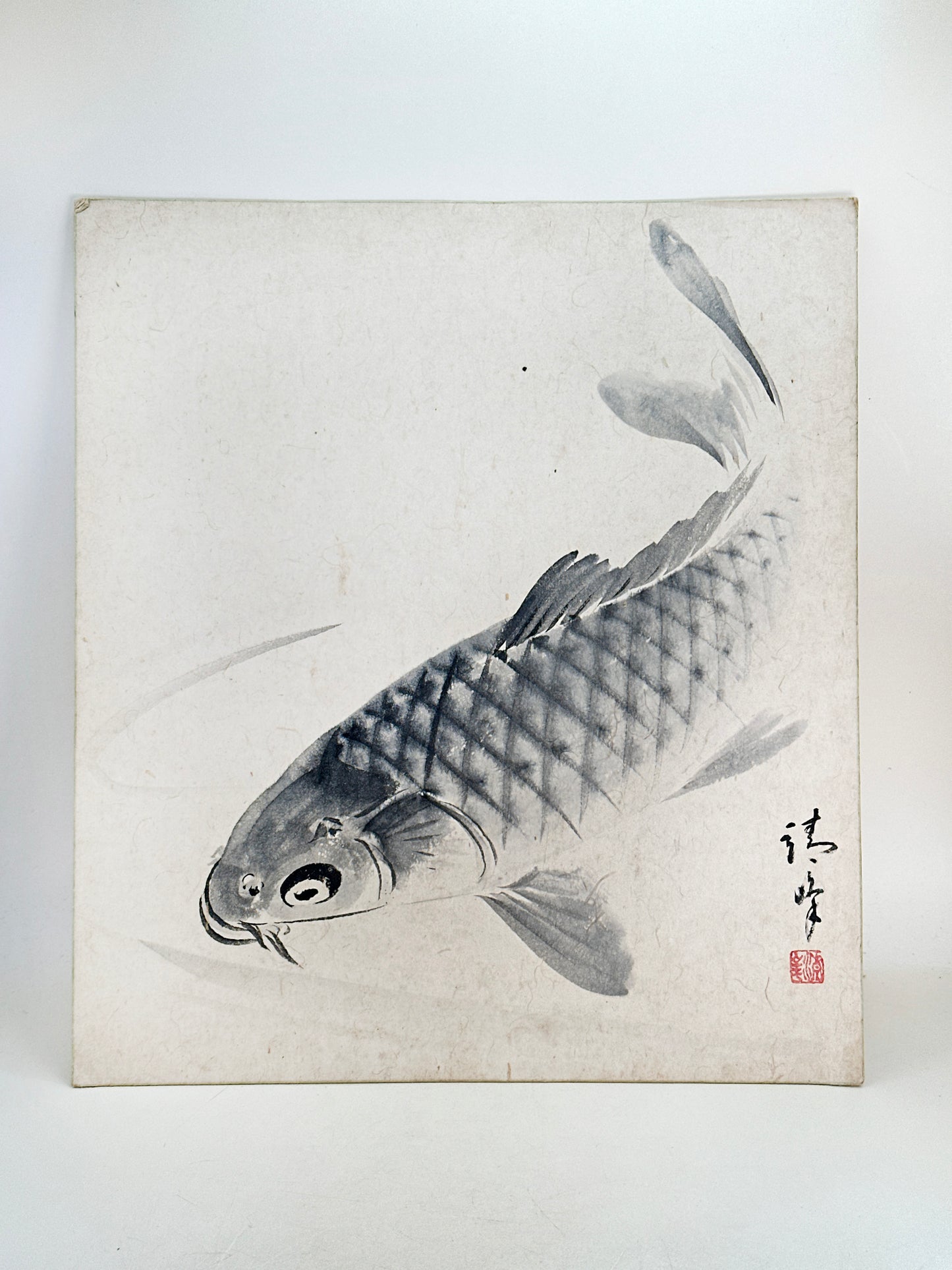 SHP258 - Obra de tinta Shikishi de peces Koi 鯉