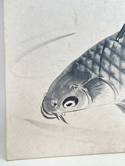 SHP258 - Obra de tinta Shikishi de peces Koi 鯉