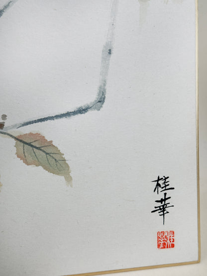SHP325 - Shikishi artwork by Keika 桂華