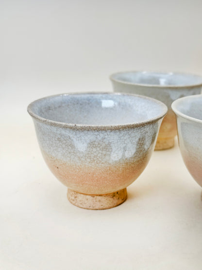 TB216 -  Hagi-yaki Tea Cup set by Tenpōzan 萩焼