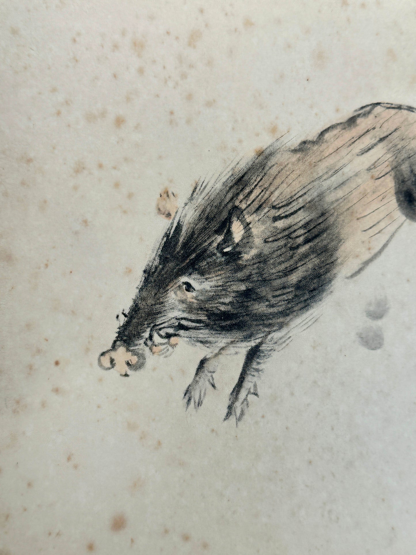 SHP180 - Shikishi Art Wild Boar by Ōtsuka Kōgeisha 大塚巧藝社