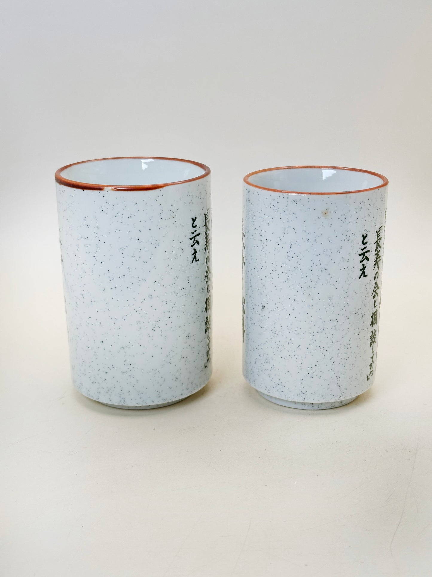 TB219 - Ensemble tasses à thé Mino-yaki 美濃焼