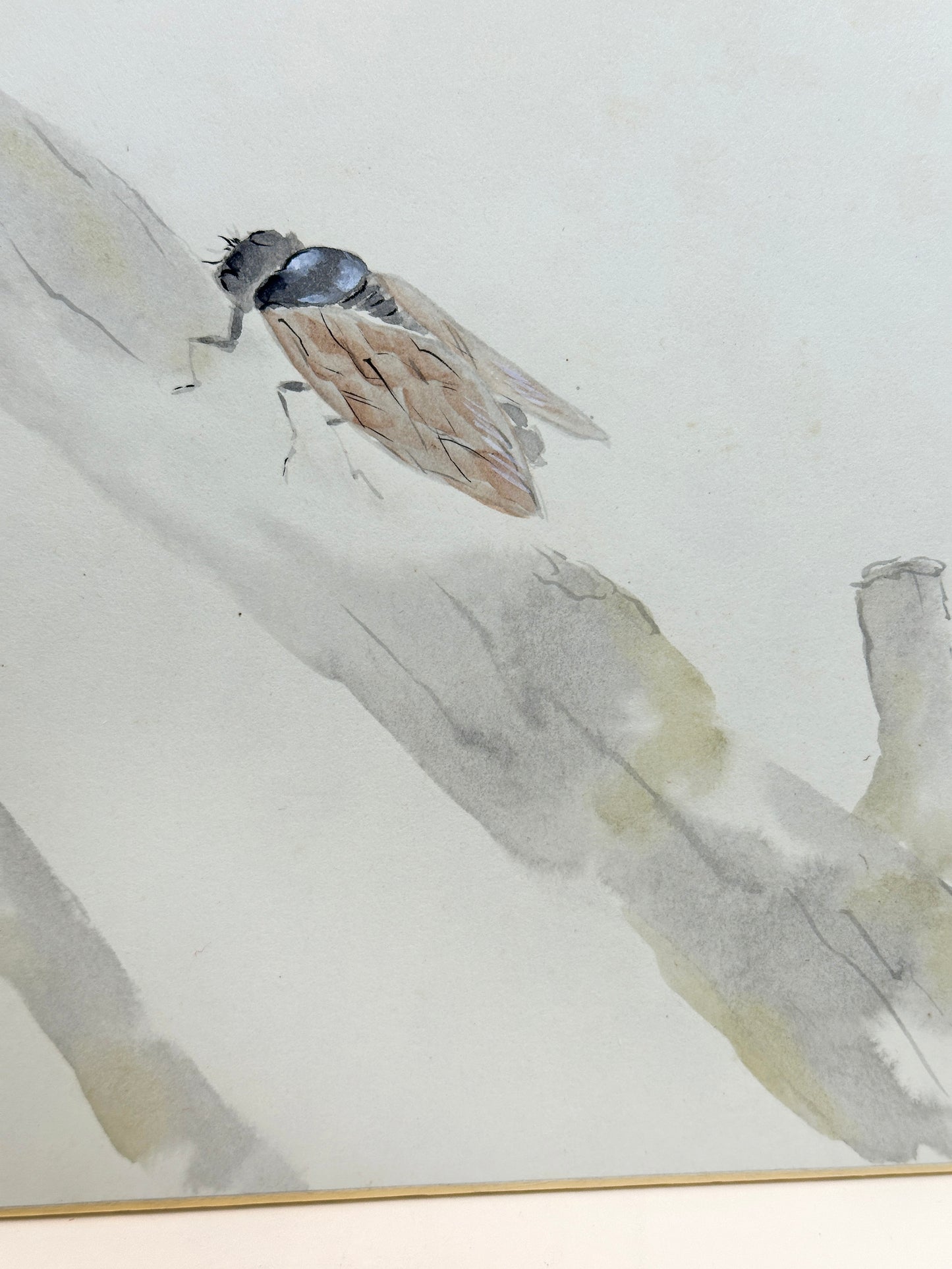 SHP184 - Hand-Painted Shikishi by Kawahito Katsunobu 川人勝延