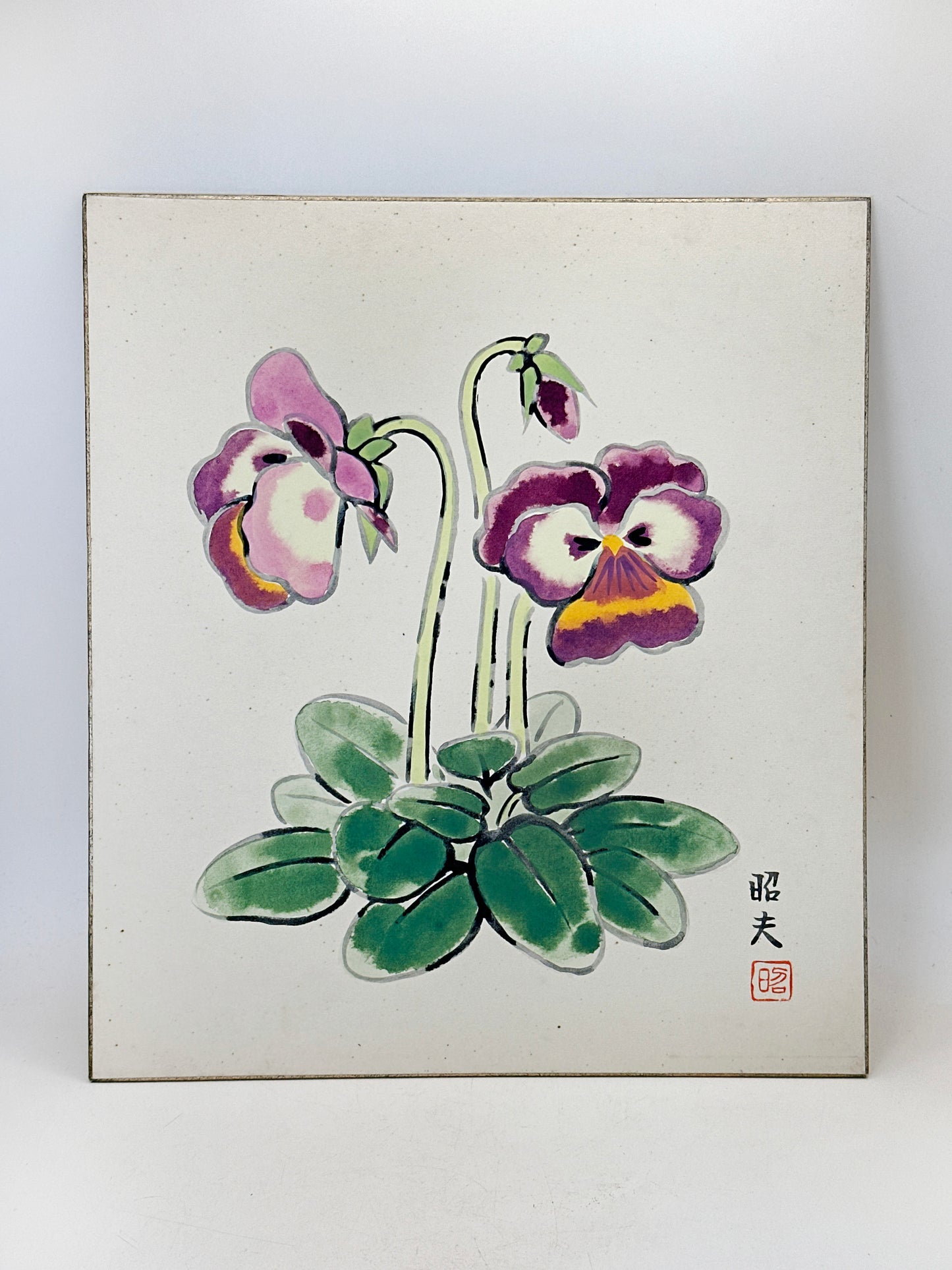 SHP284 - Arte shikishi de pensamientos (Pansies) パンジー