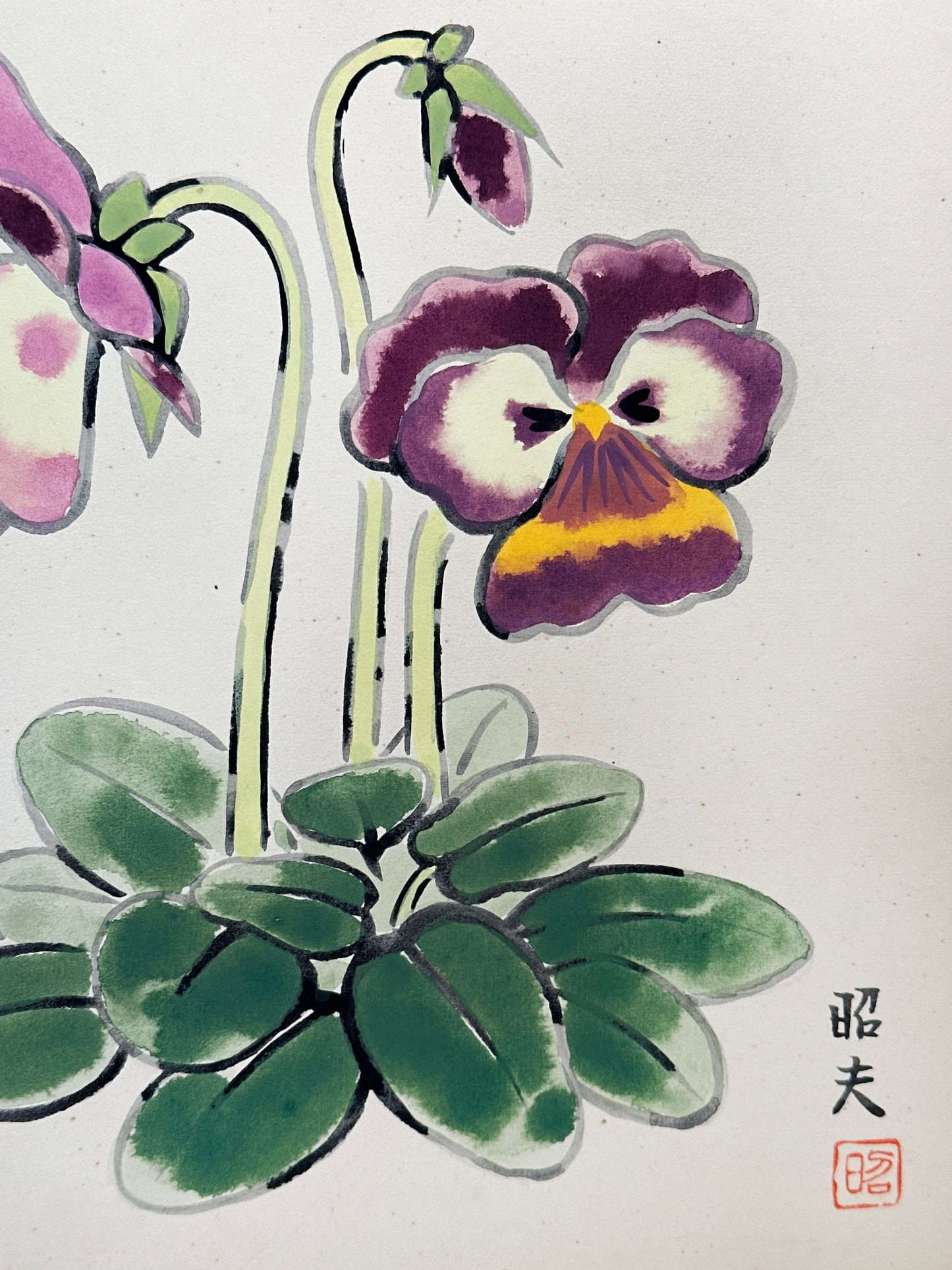 SHP284 - Arte shikishi de pensamientos (Pansies) パンジー