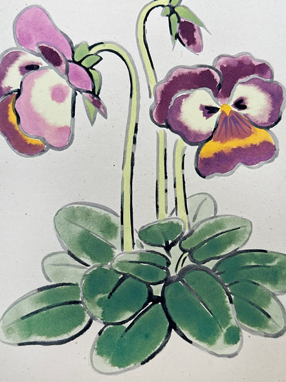 SHP284 - Arte shikishi de pensamientos (Pansies) パンジー