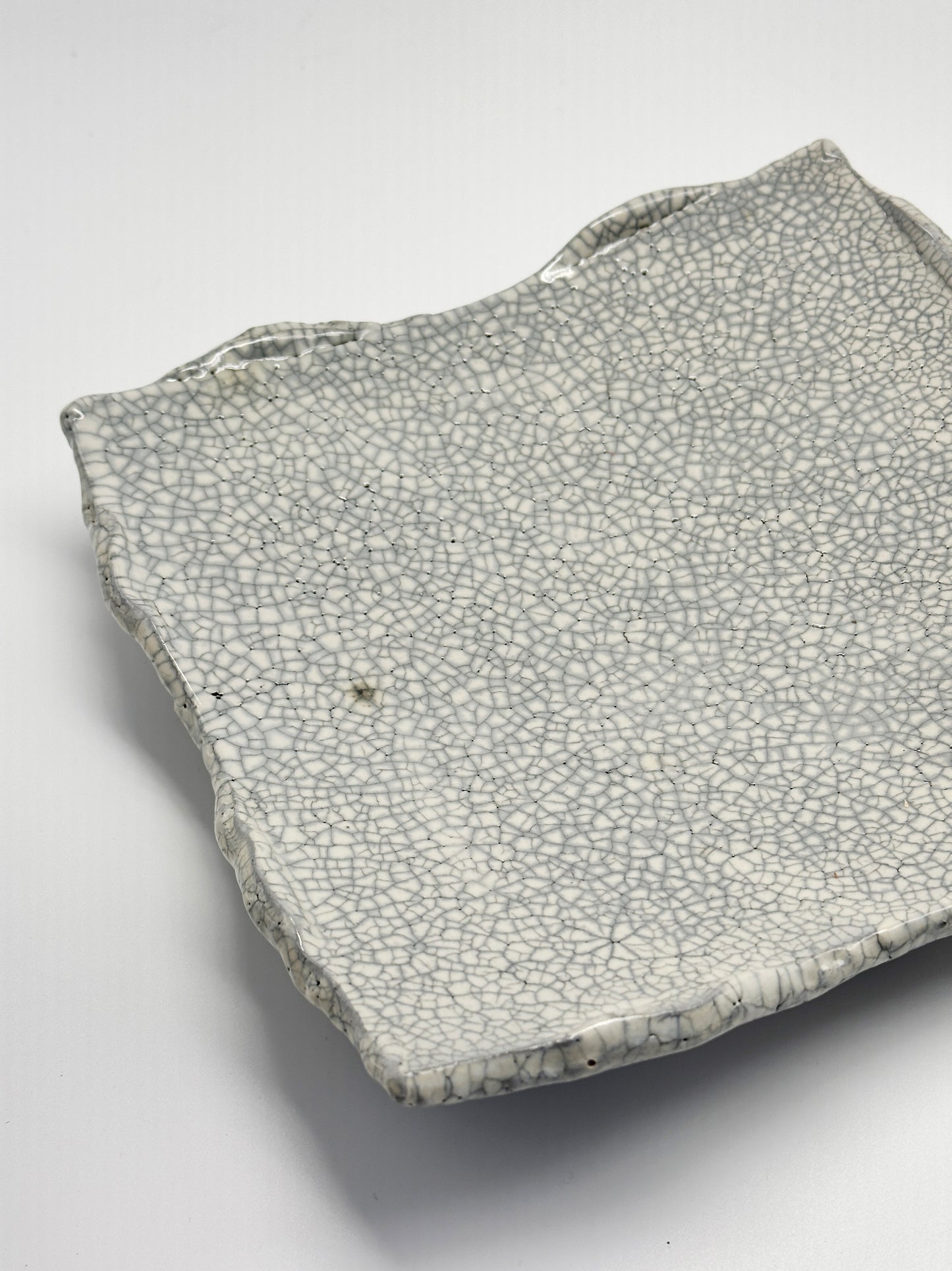 TB108 - Shigaraki Kannyū Shino Square Plate 信楽焼