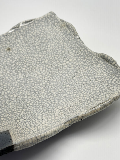 TB108 - Shigaraki Kannyū Shino Square Plate 信楽焼