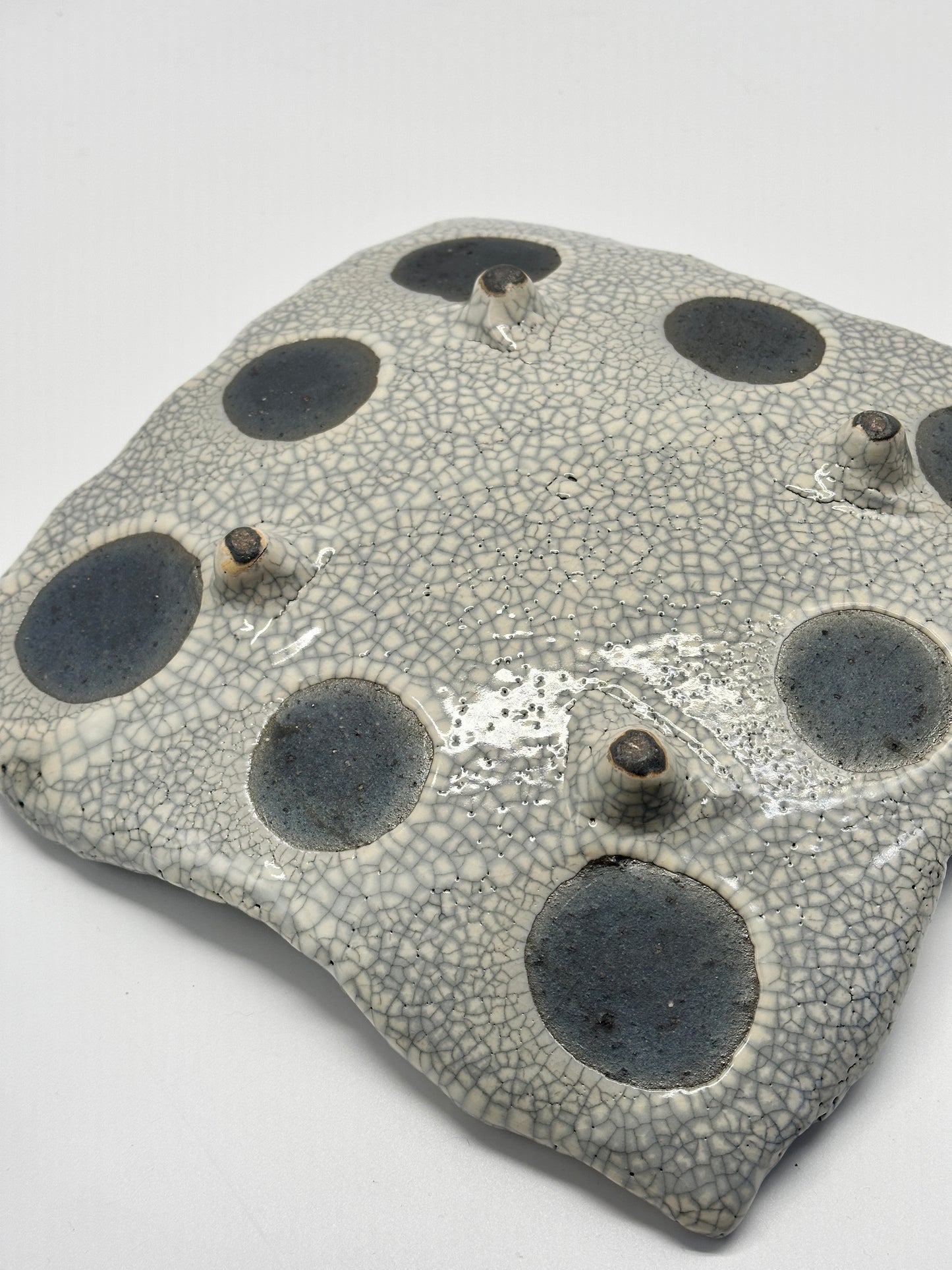 TB108 - Shigaraki Kannyū Shino Square Plate 信楽焼