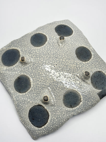 TB108 - Shigaraki Kannyū Shino Square Plate 信楽焼