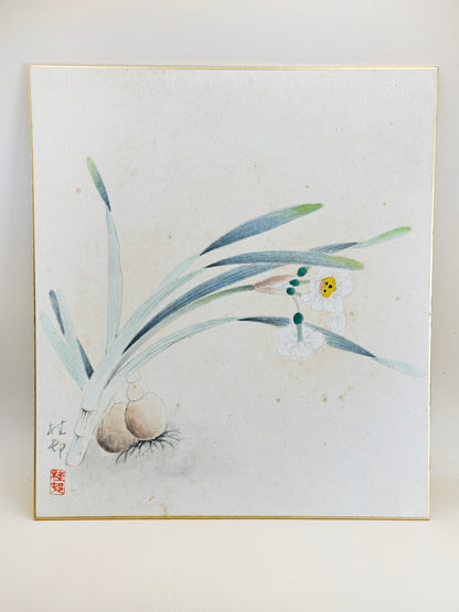 SHP193 - Hand Painting Shikishi Artwork Card 水仙