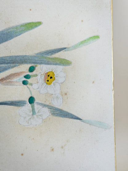 SHP193 - Hand Painting Shikishi Artwork Card 水仙