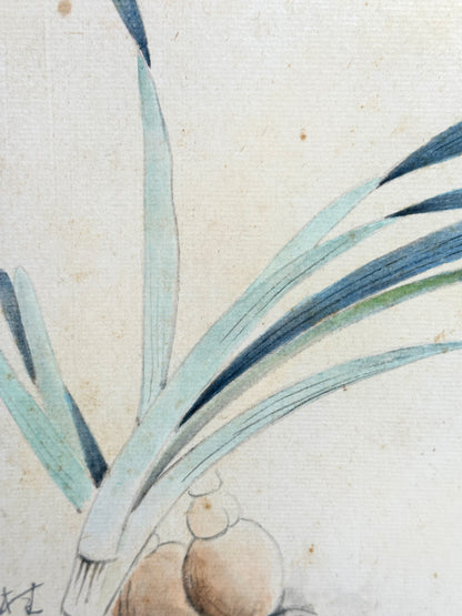 SHP193 - Hand Painting Shikishi Artwork Card 水仙