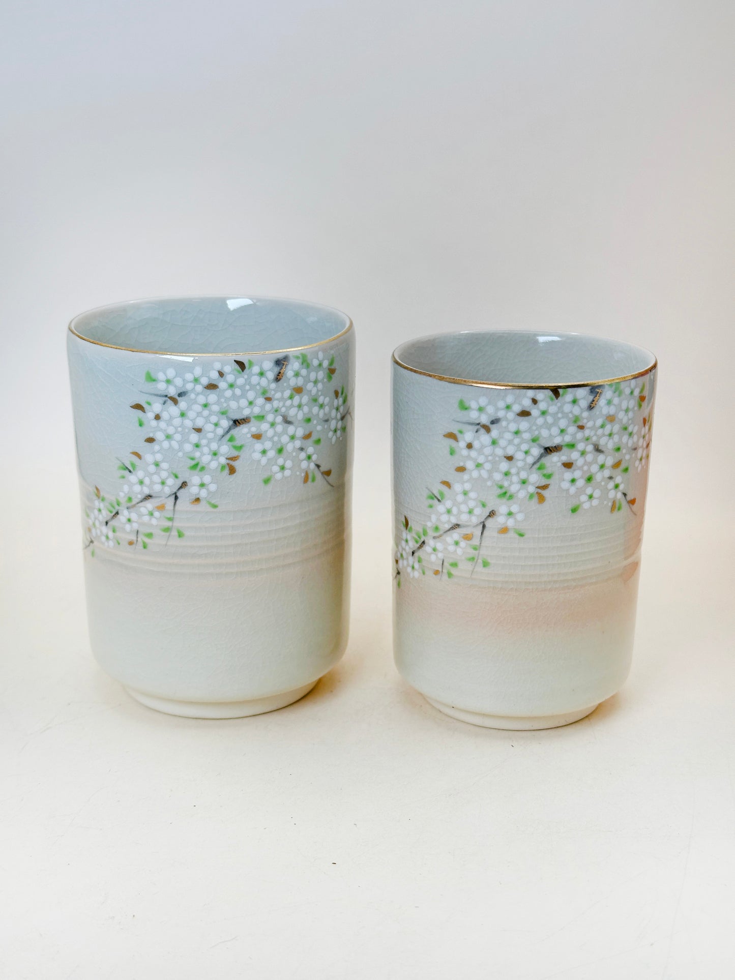 TB232 - Hagi-yaki yunomi tea cup by Tachikichi たち吉
